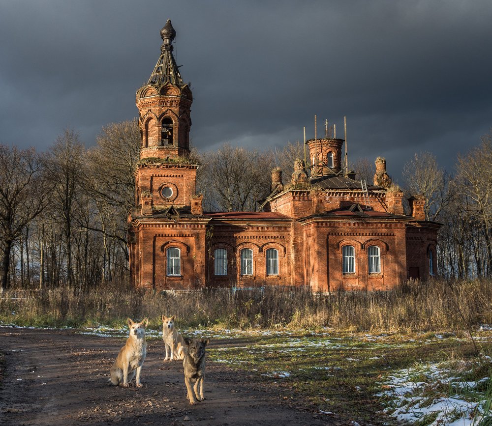 Photograph by Александр Авдушев