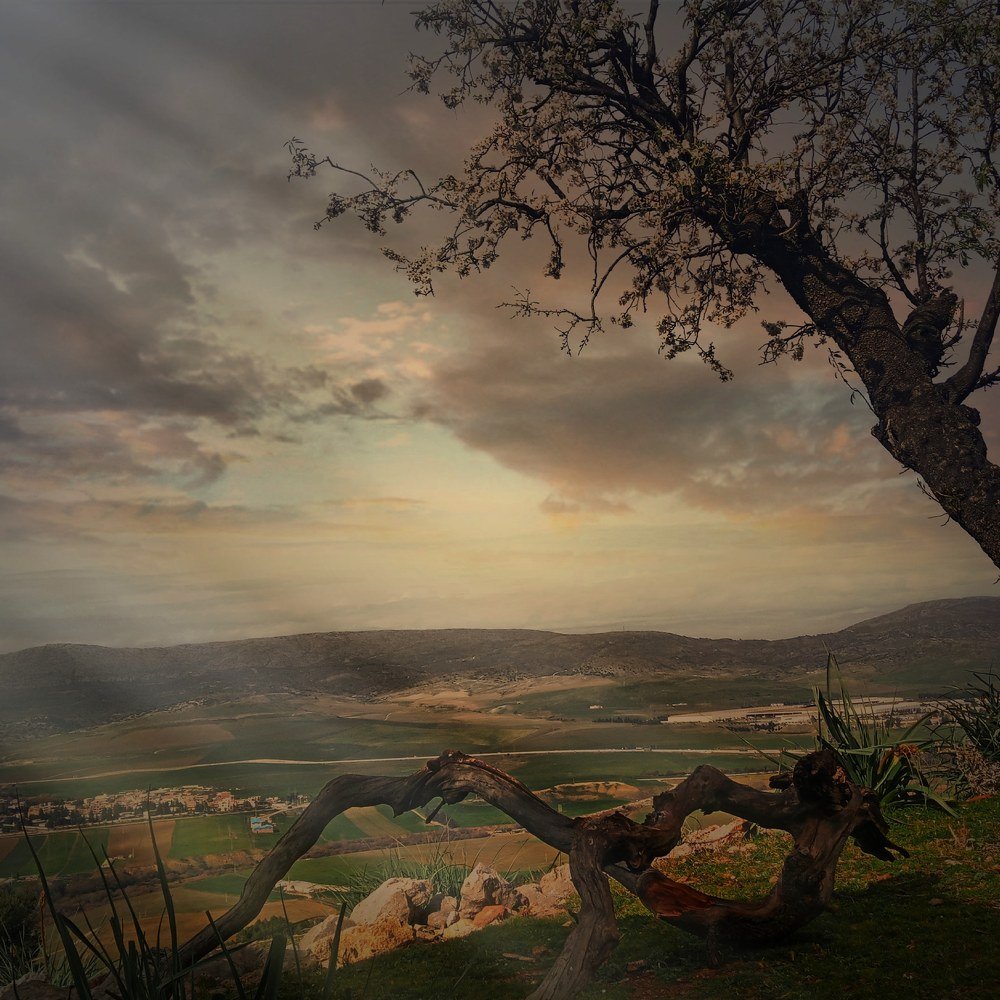 Photograph by Zakaria Boukous