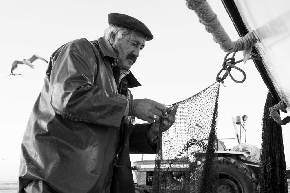 Photograph by Carlos Alberto Sequeira