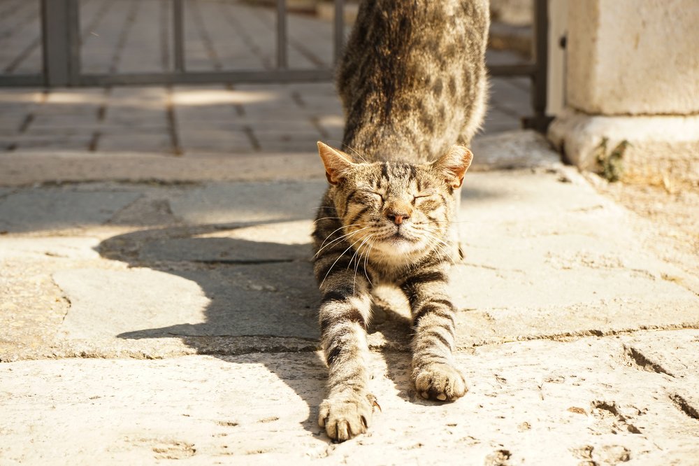 Photograph by Олеся Тетеря