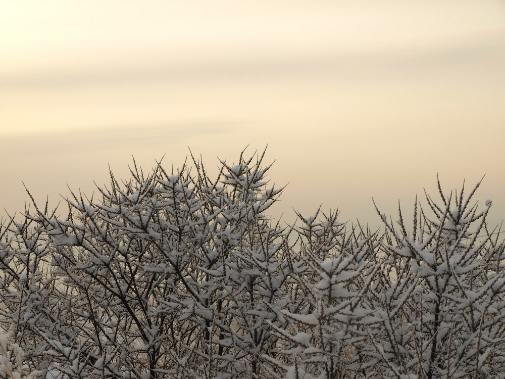 Photograph by Аркадий Воробьев