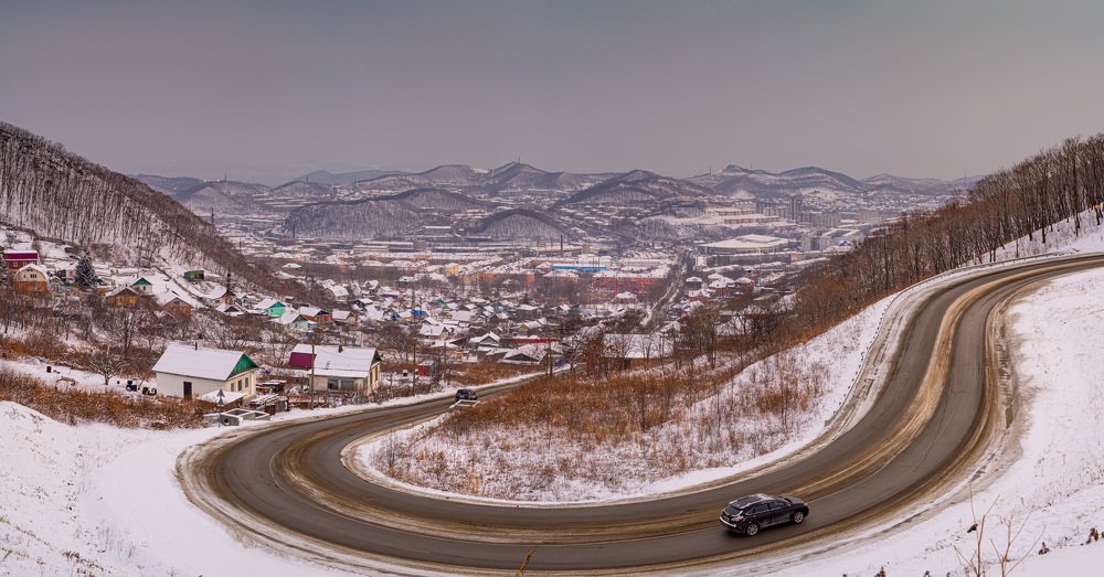 Кисть художника