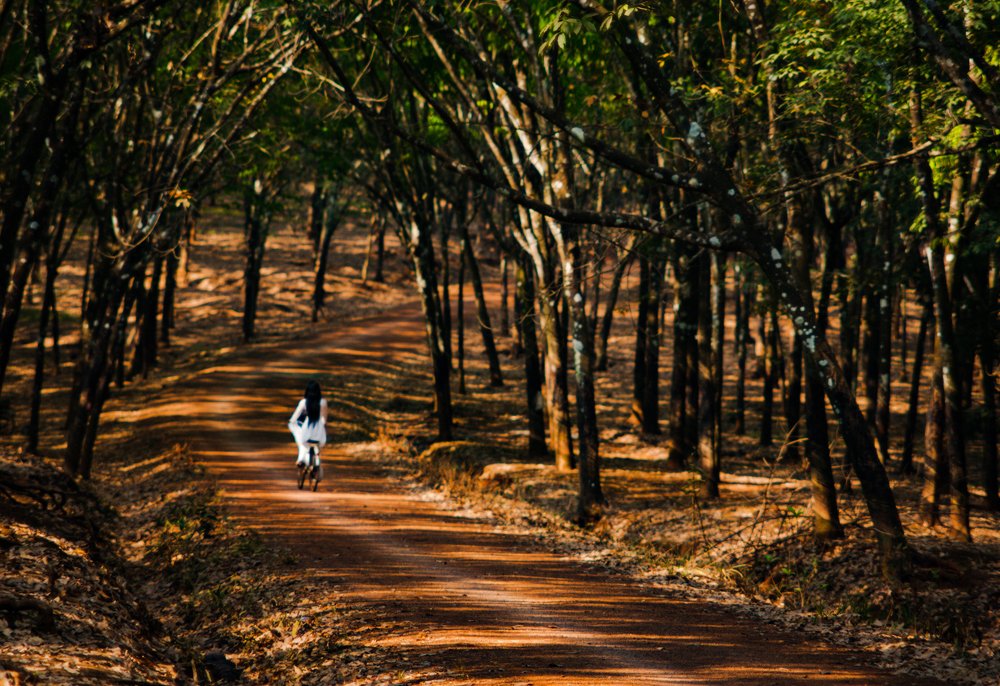 Photograph by Nguyễn Lâm