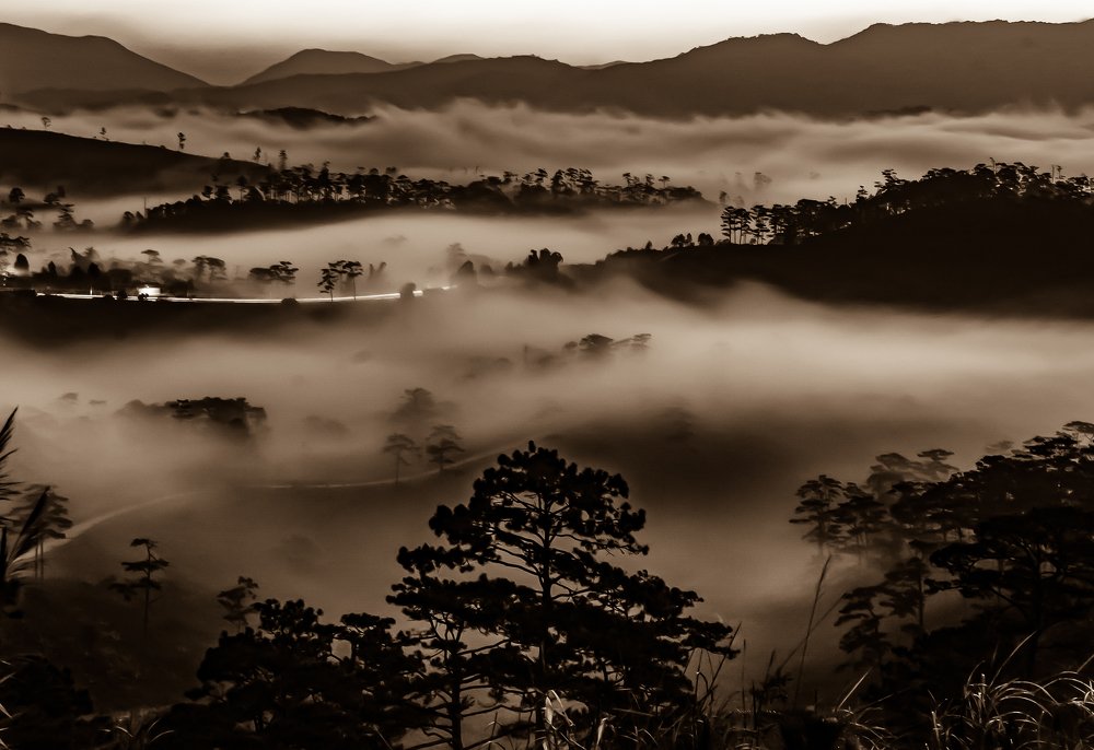 Photograph by Nguyễn Lâm