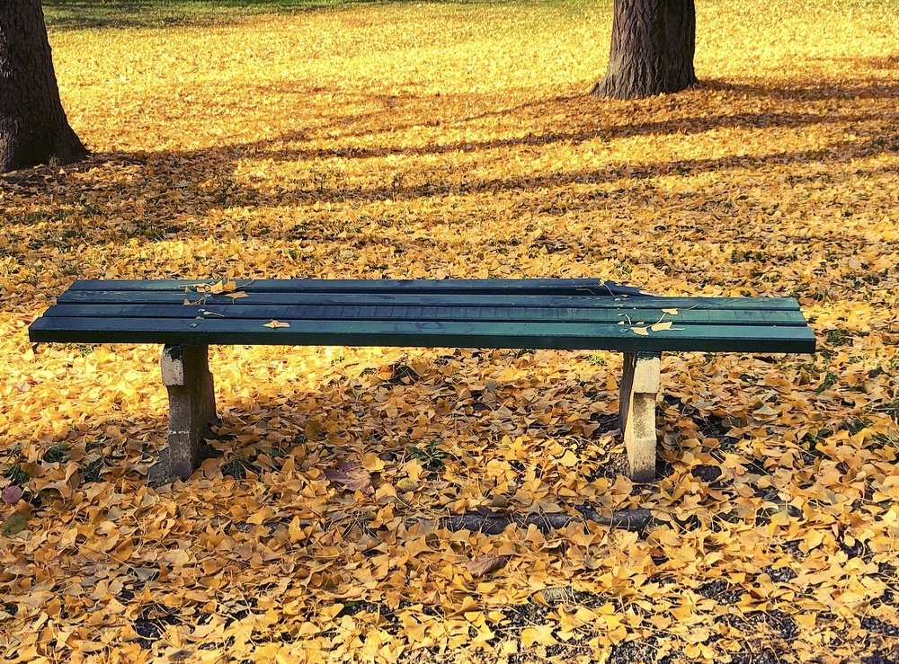 Photograph by Теодора Милекич