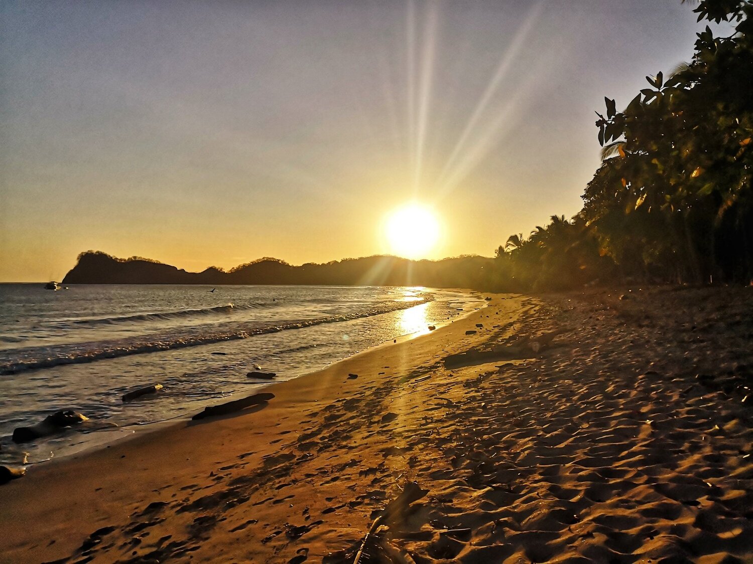 Photo #4253440