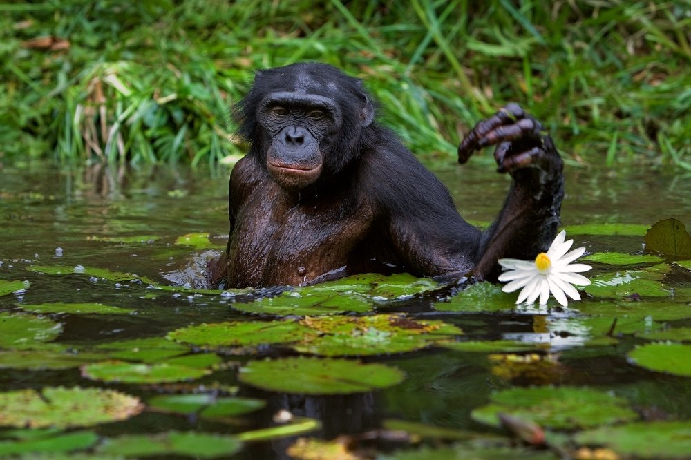 Photograph by Сергей Урядников