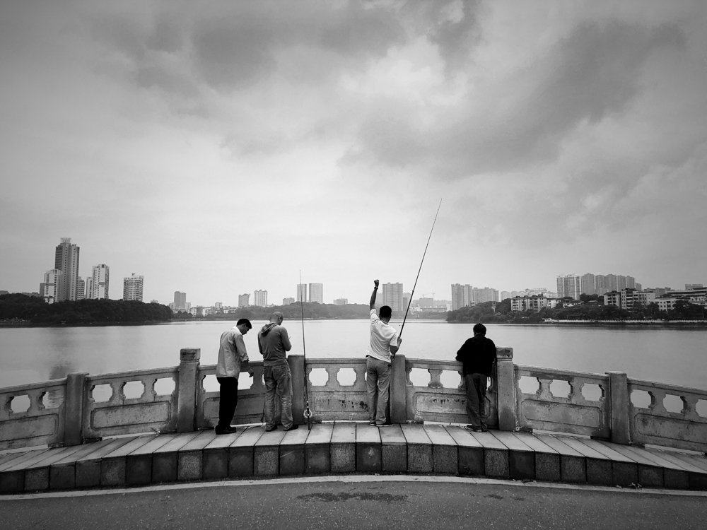 Photograph by Goldclassic