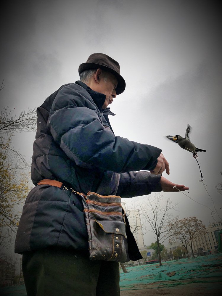 Photograph by Goldclassic