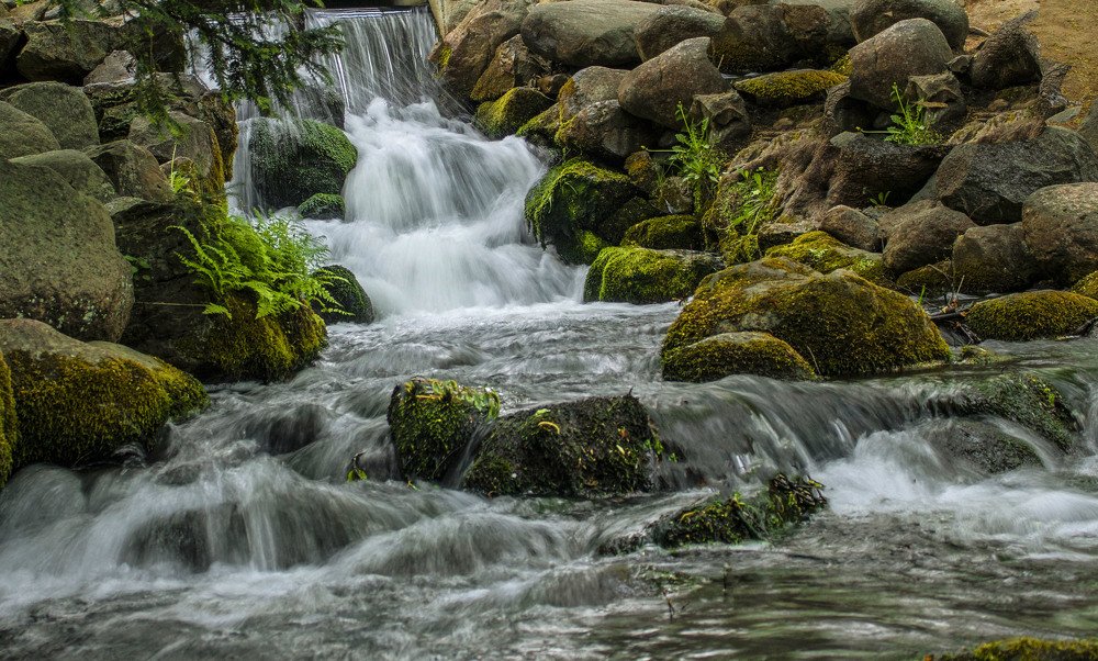 Photograph by Леонид Навроцкий