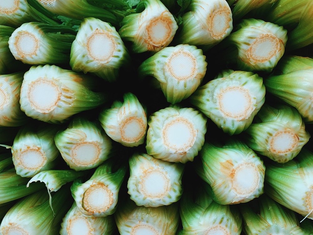 Фотография автора Olga Alekseeva