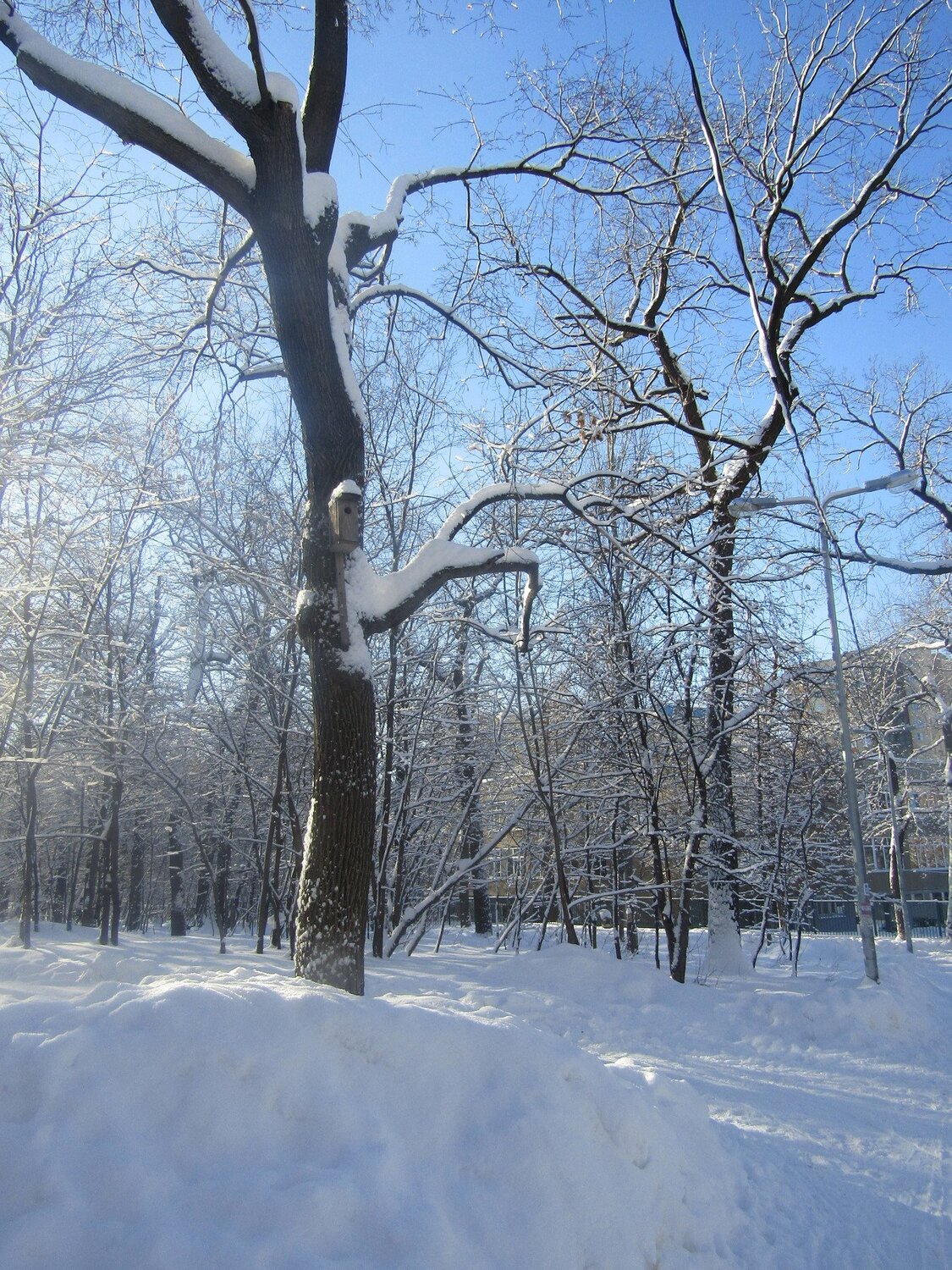 Photo #4253932
