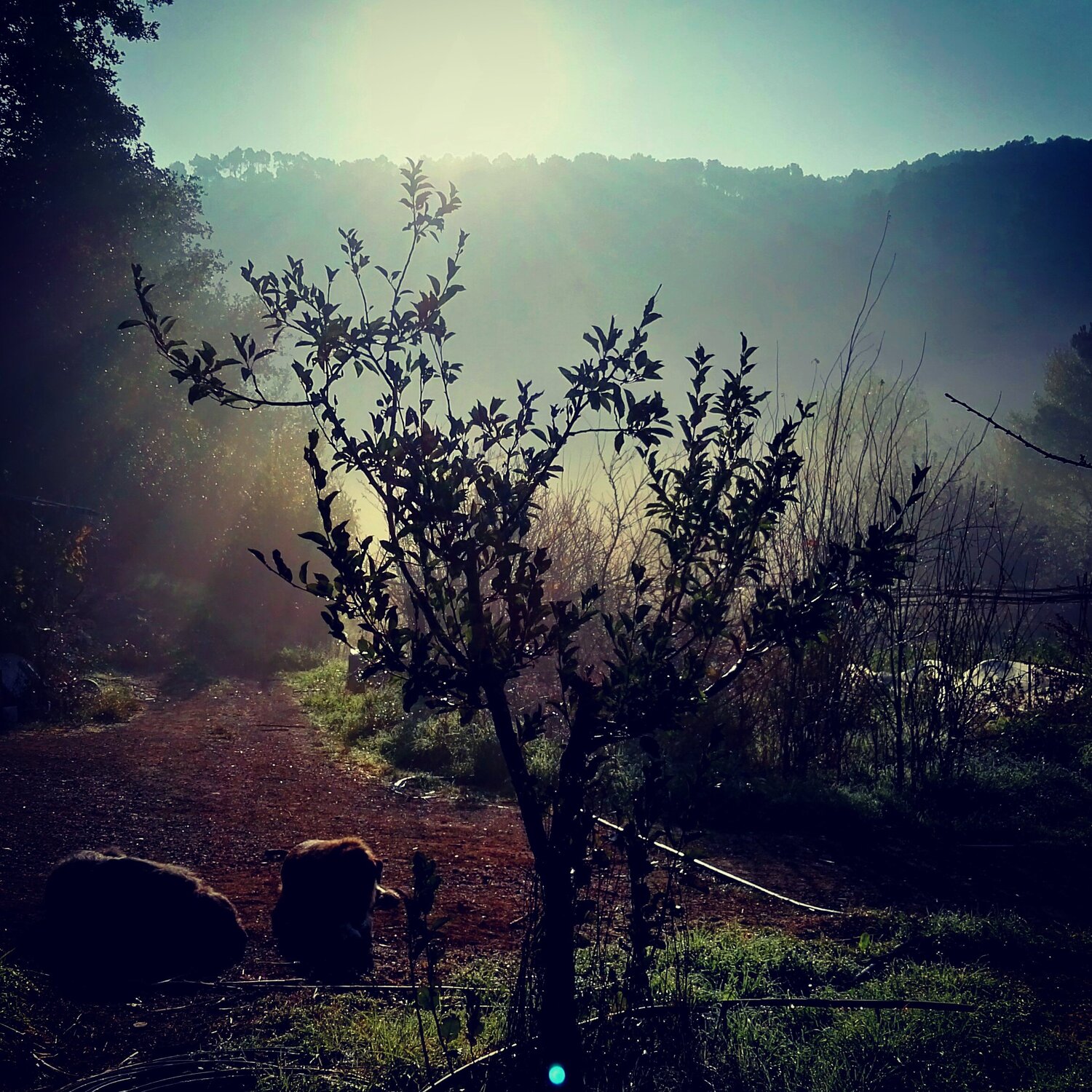 Photo #4253991