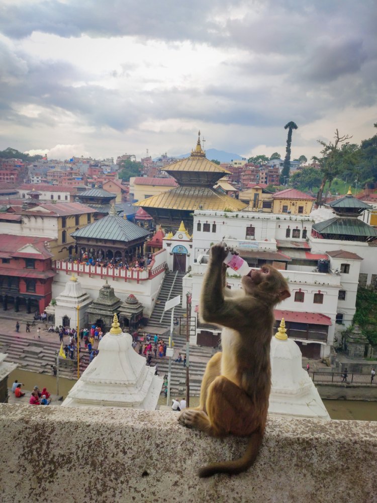 Photograph by Sushil Sah