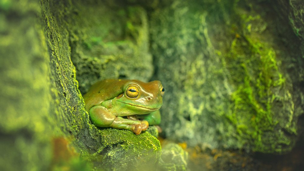 Photograph by Токарев Олег