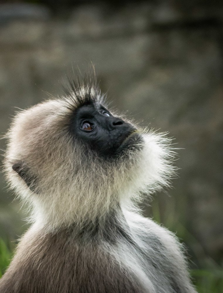 Reflecting Thoughts!