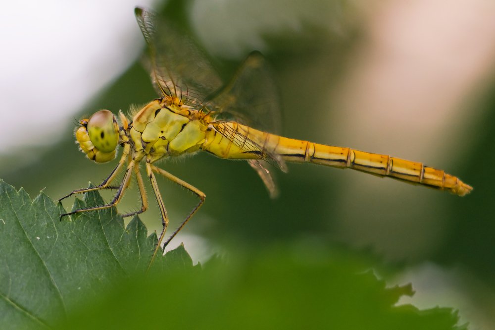 Photograph by Денис Ветренко