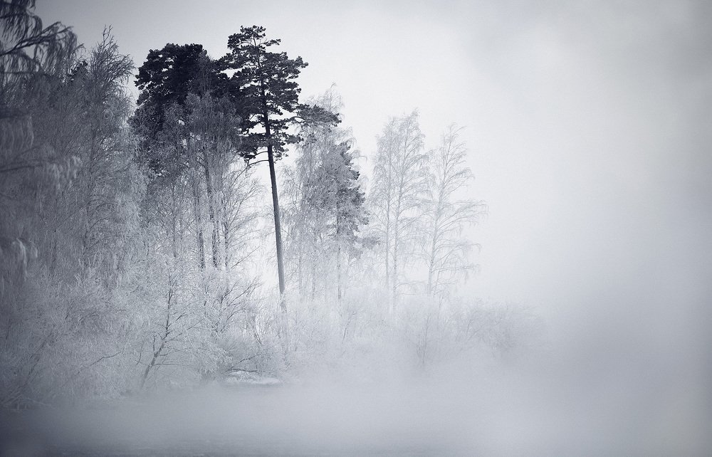 Photograph by Валерий Кучинский