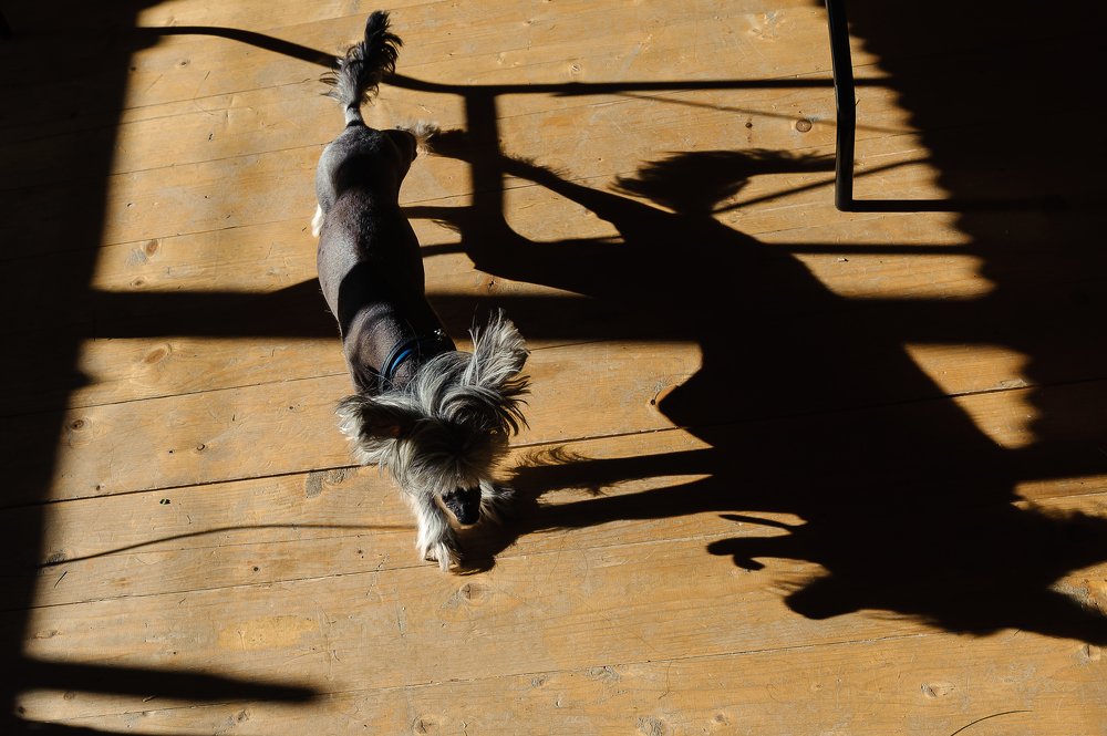 Photograph by Юлия Майская