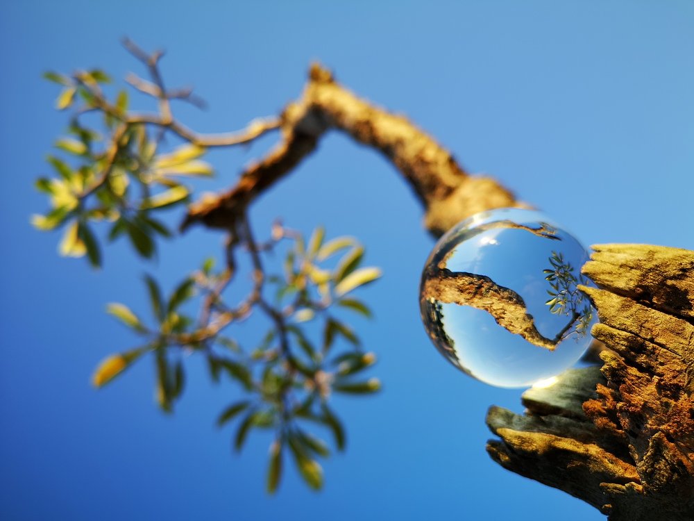 Photograph by Юрий Чернов