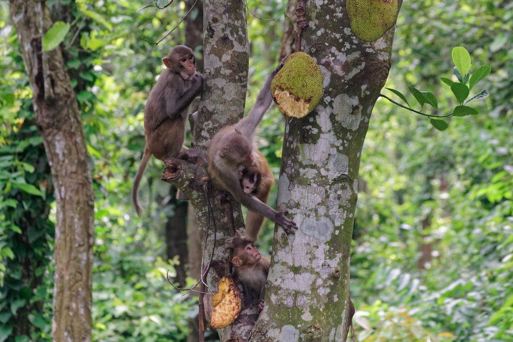 Photograph by Mahmudul Hasan