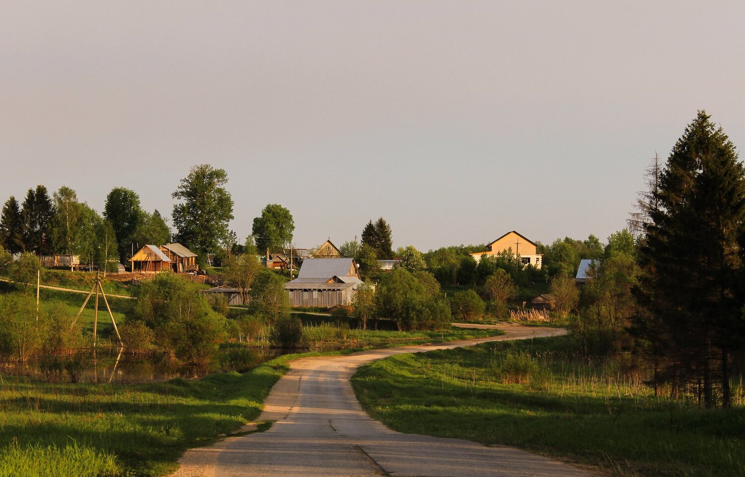 Photo #4254251
