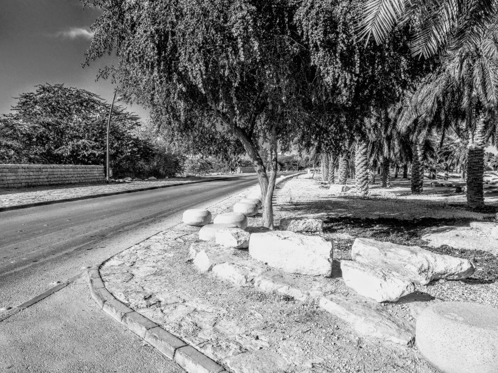 Фотография автора Jayed Wahib Ul Malik