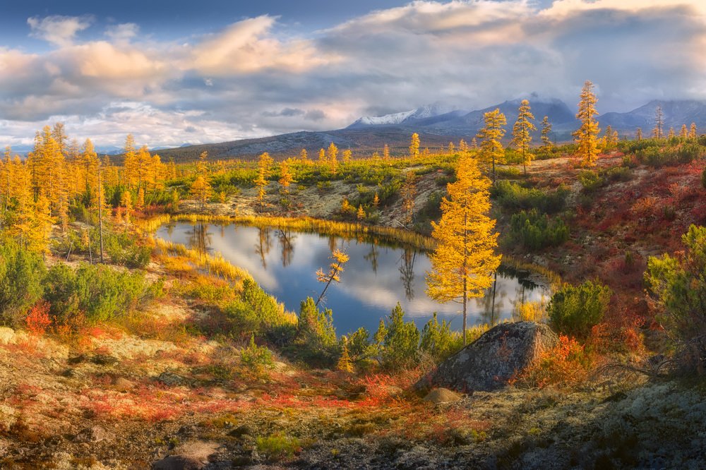 Фотография автора Дмитрий Медянцев