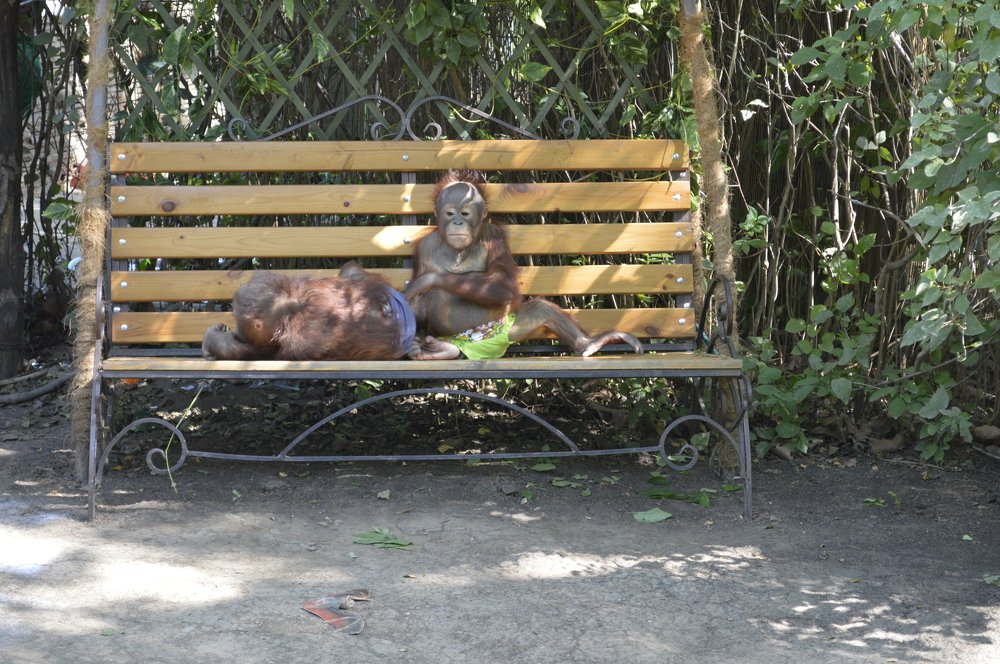 Photograph by Александр Михеев