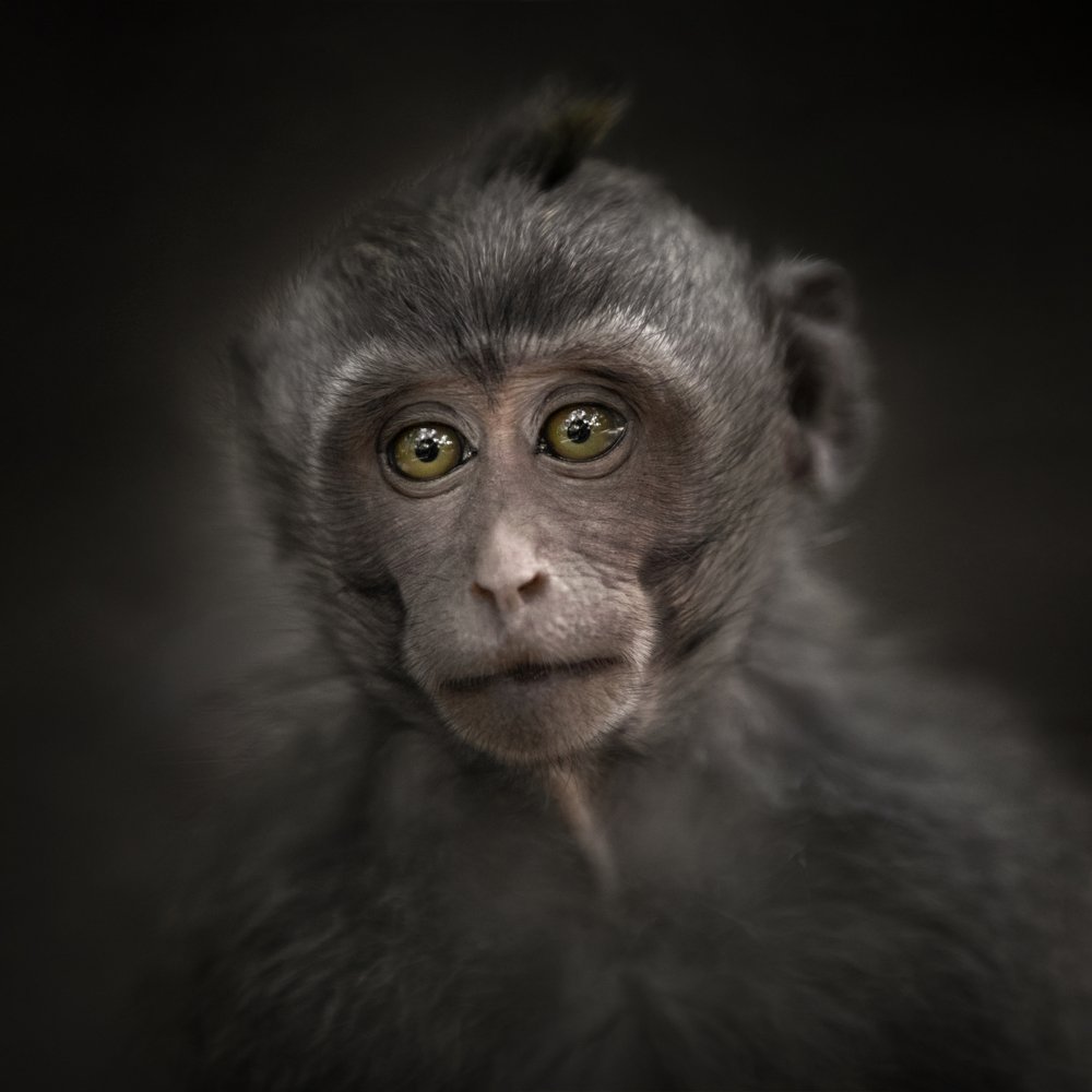 Photograph by Valentina Gibert