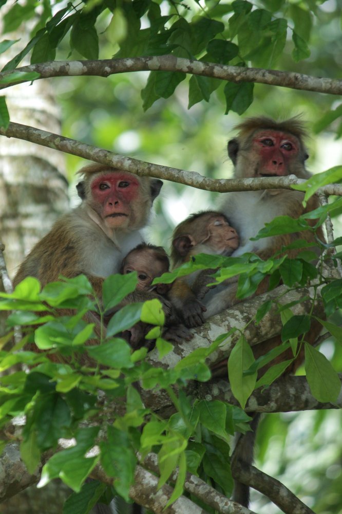 Photograph by Tharshan Thangavel