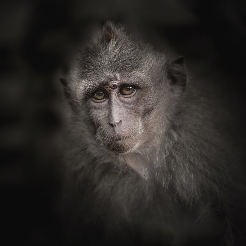 Photograph by Valentina Gibert