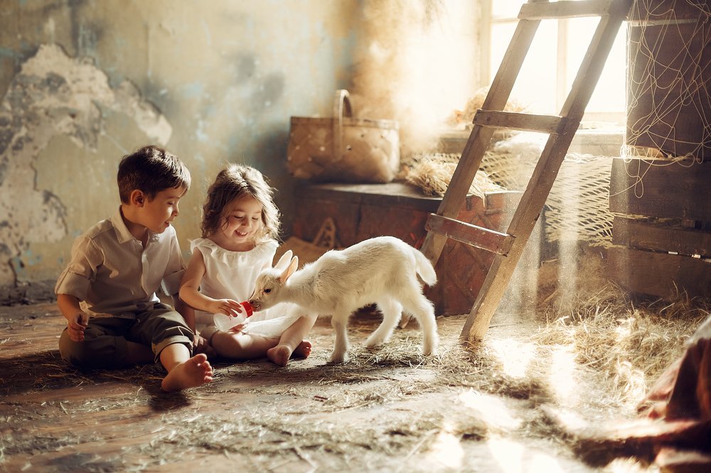 Photograph by Екатерина Лебедева