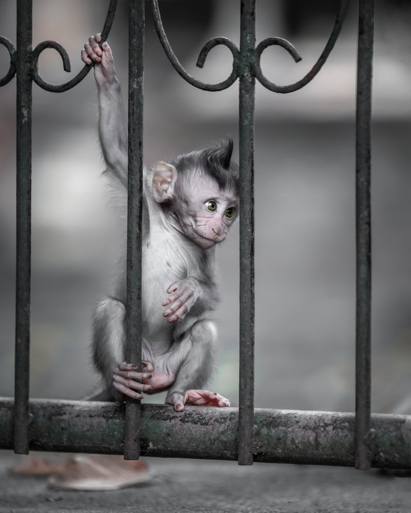 Photograph by Valentina Gibert