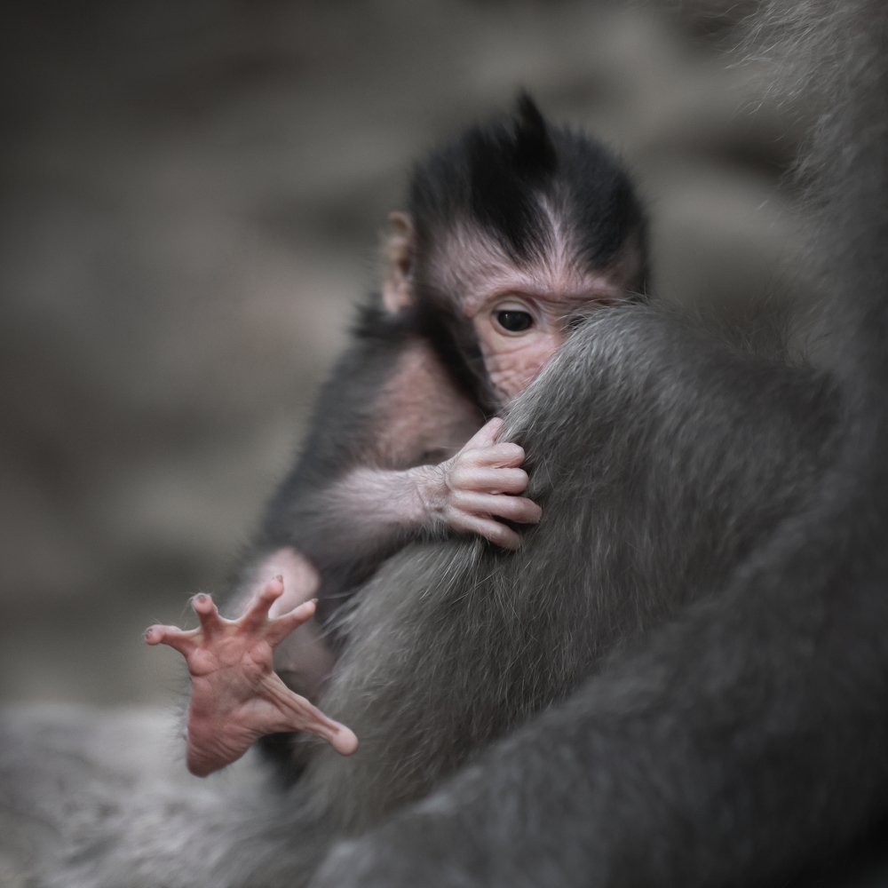 Photograph by Valentina Gibert