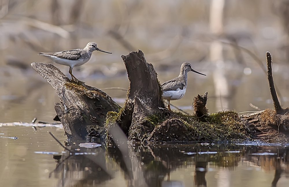 Photograph by Александр Широких