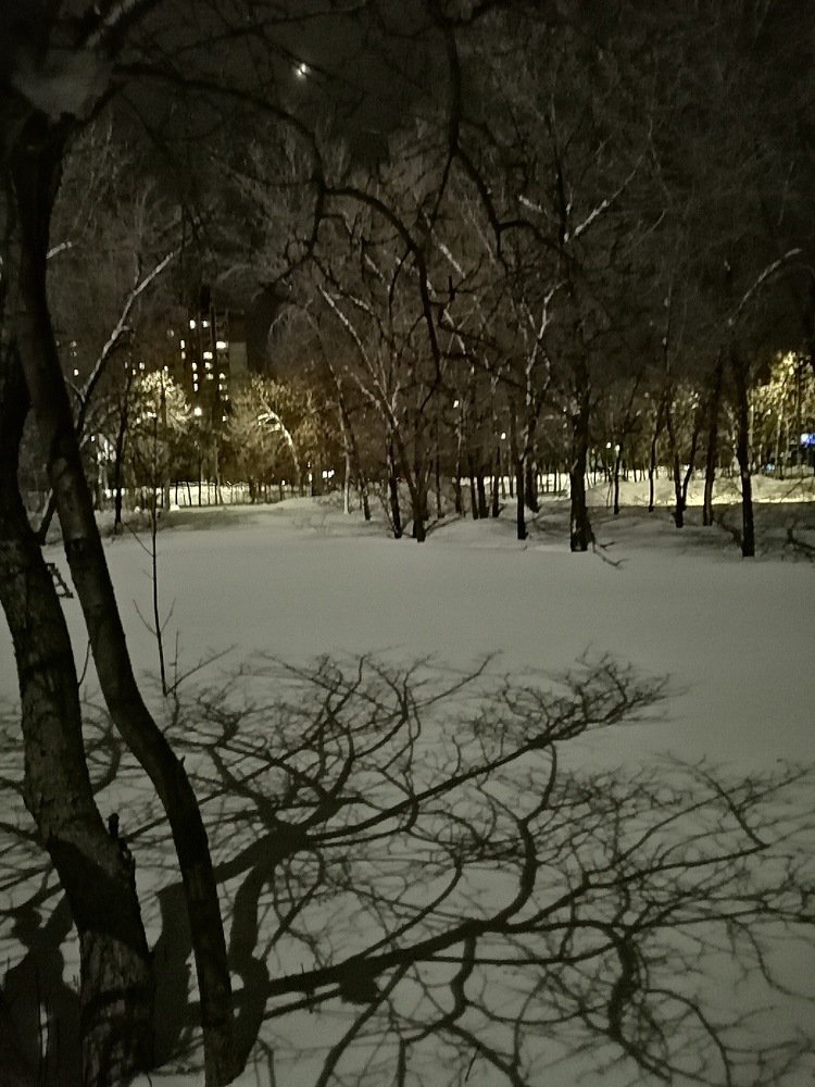 Photograph by Lilia Hromova