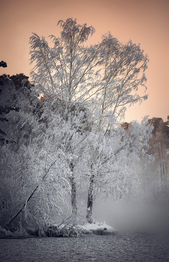 Photograph by Валерий Кучинский