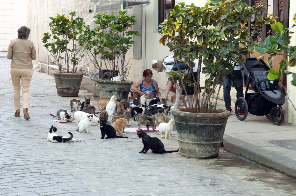 Photograph by Denis Starchikov