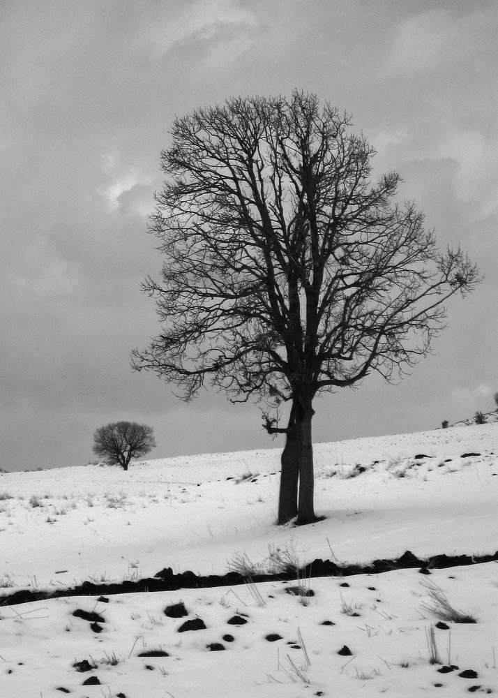 Photograph by Mazhar Khalkhal