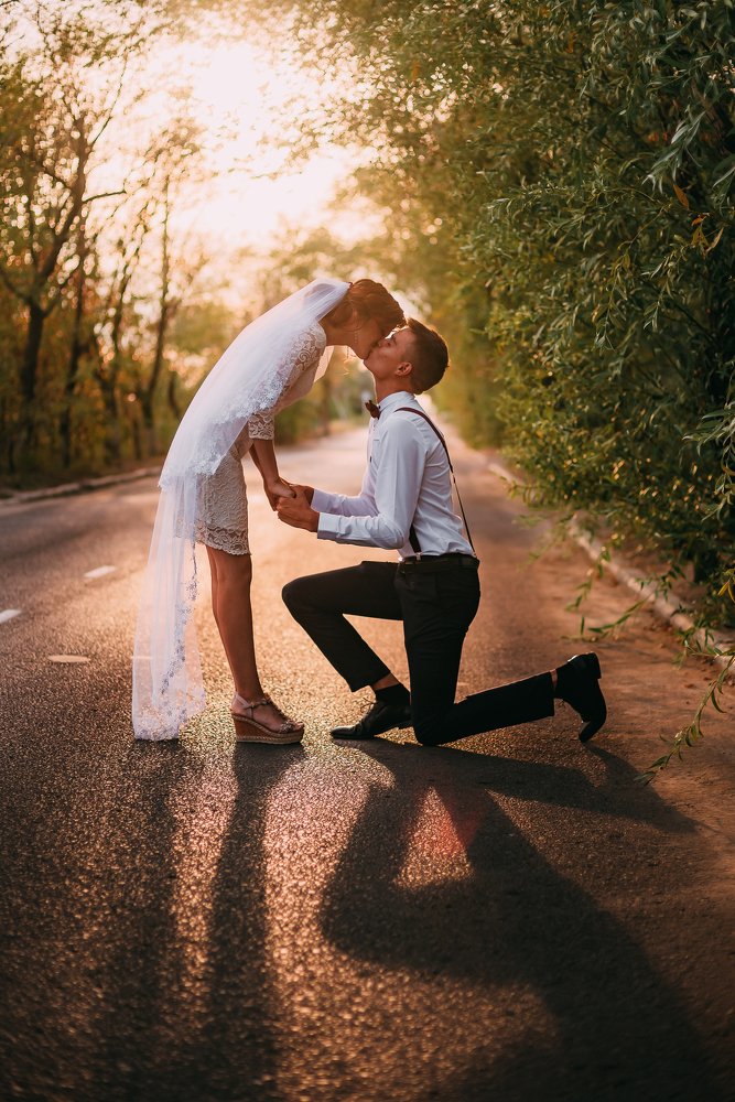 Фотография автора Дарья Шевченко