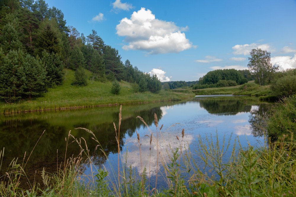 Родные просторы