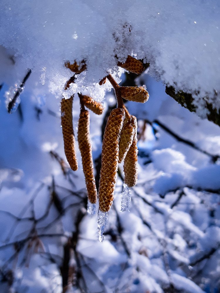 Photograph by Елена Безгинова