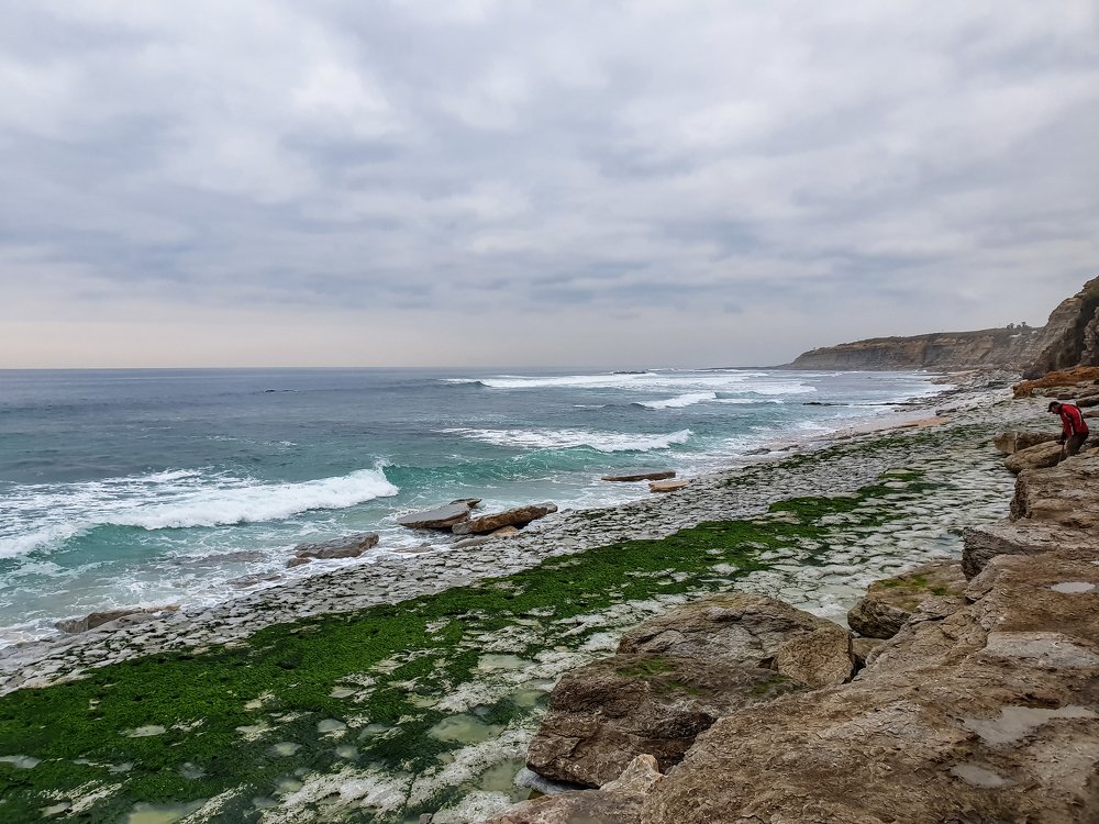 Photograph by Александр Ковалёв