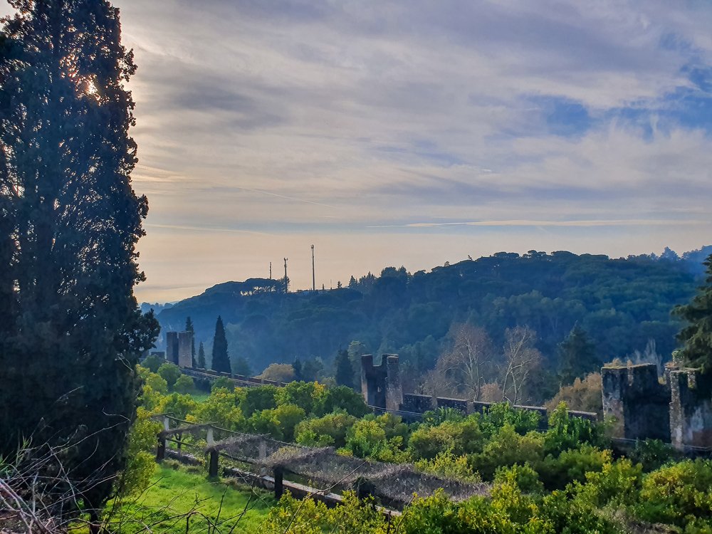 Photograph by Александр Ковалёв