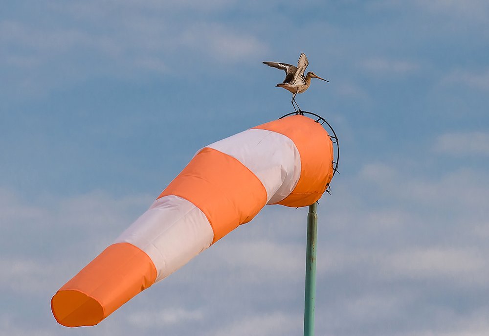 Разрешите взлёт