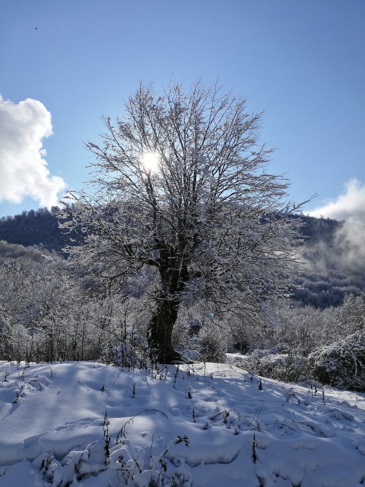 Snowly winter in Azerbaijan