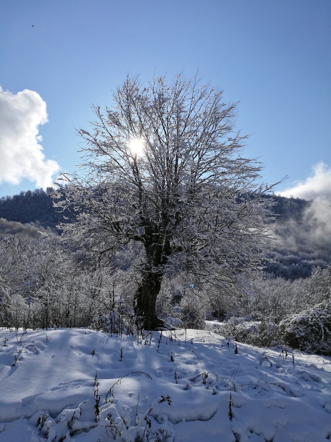 Snowly winter in Azerbaijan