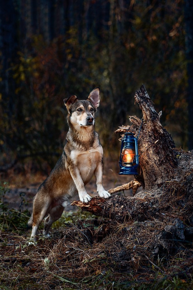 Photograph by Евгений Крутиков