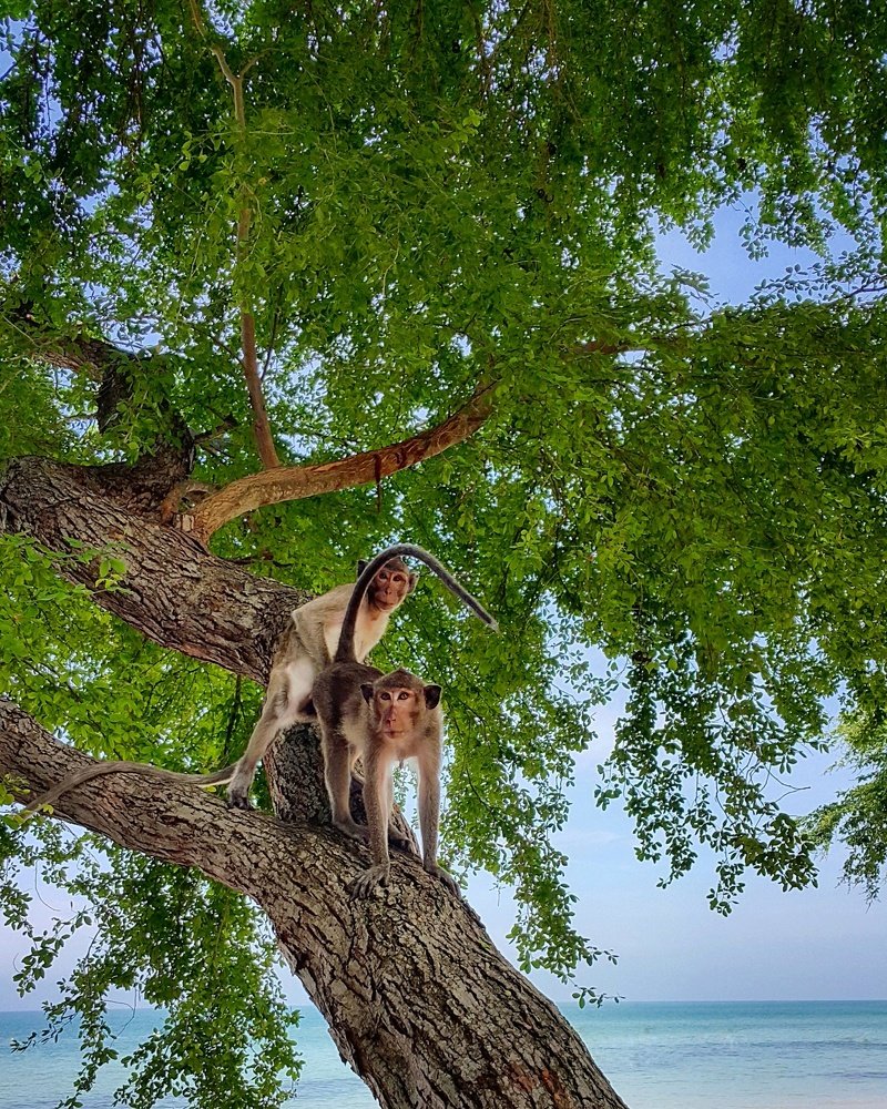 Photograph by Алексей Каширский